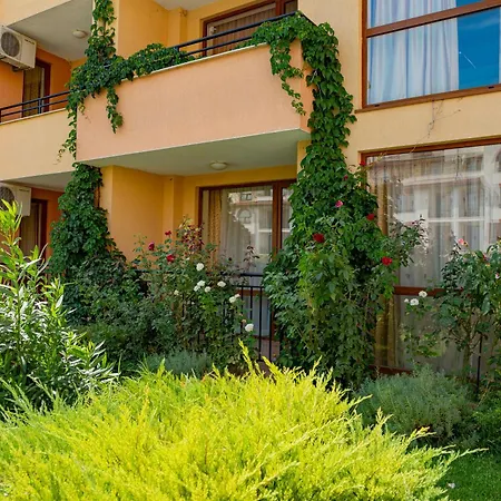 Paradise Dreams Menada Szveti Vlasz